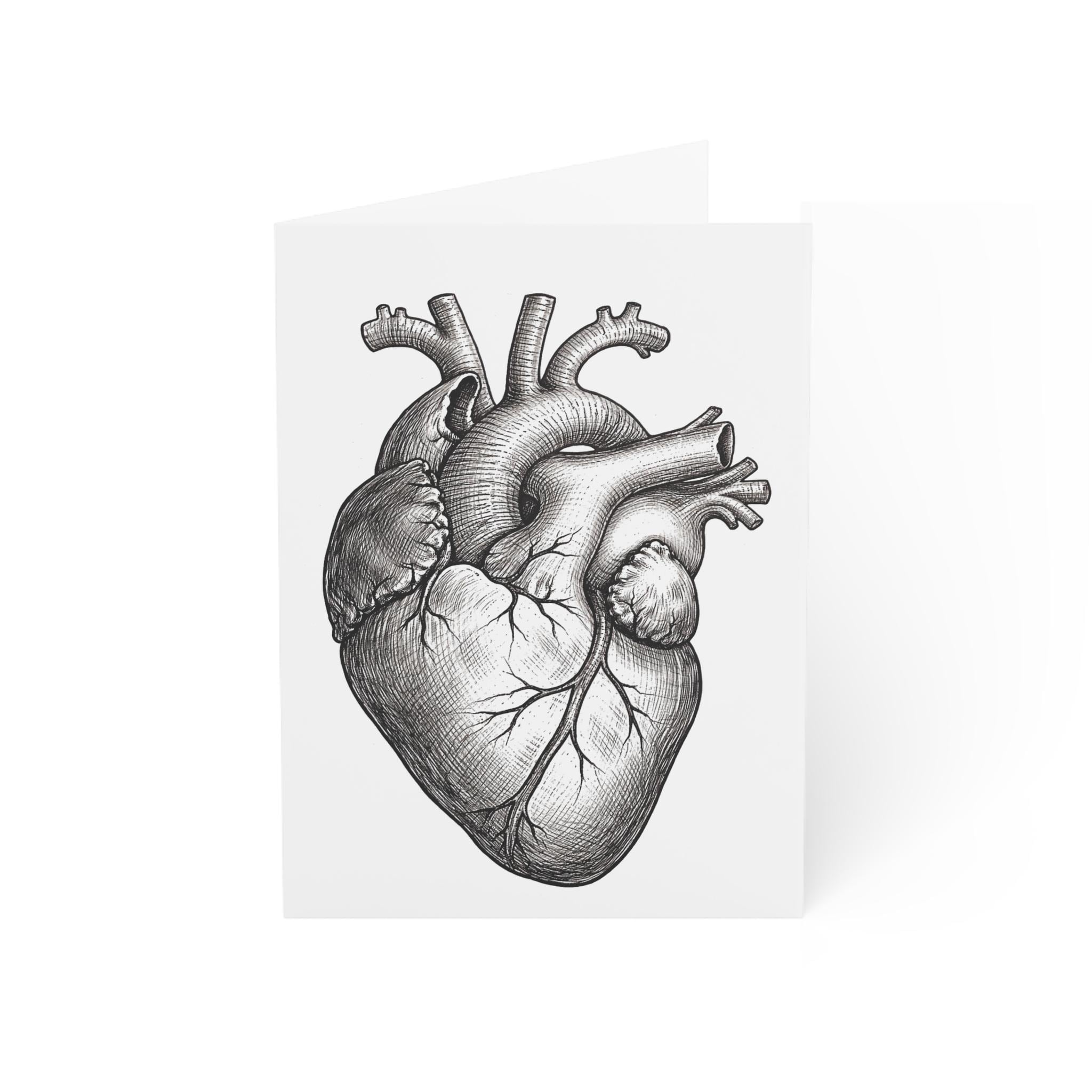 Anatomical Heart Valentine Card - Vintage Medical Illustration Love Card