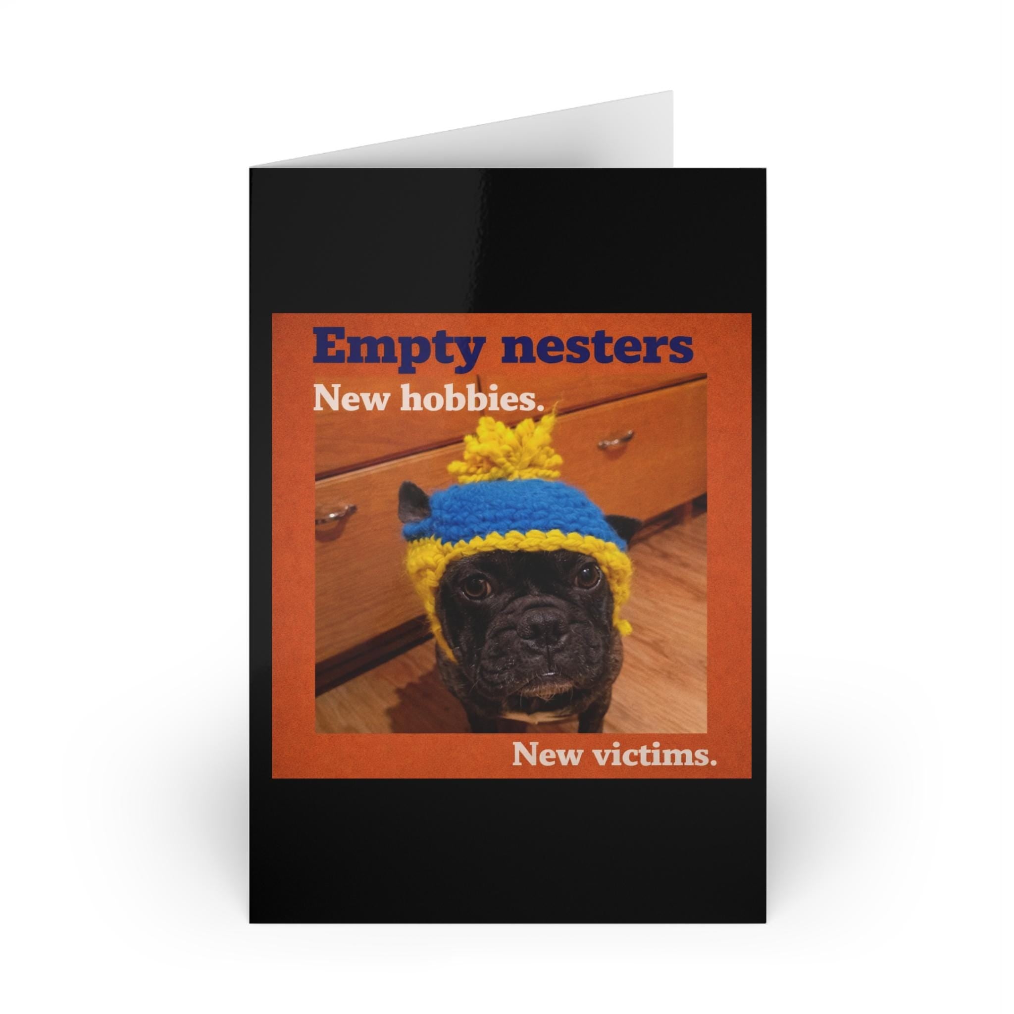 Empty Nesters Funny Dog Humor Art  New Hobbies New Victims