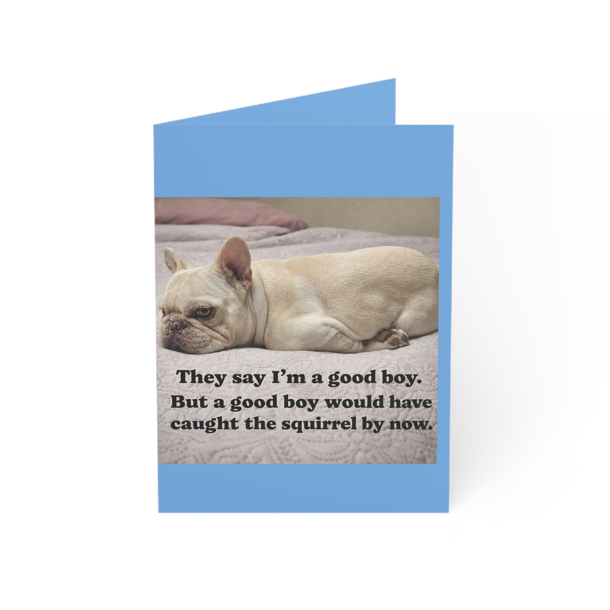 Funny Dog Quote Greeting Cards | they say i am a good boy but a good boy would have caught the squirrel by now