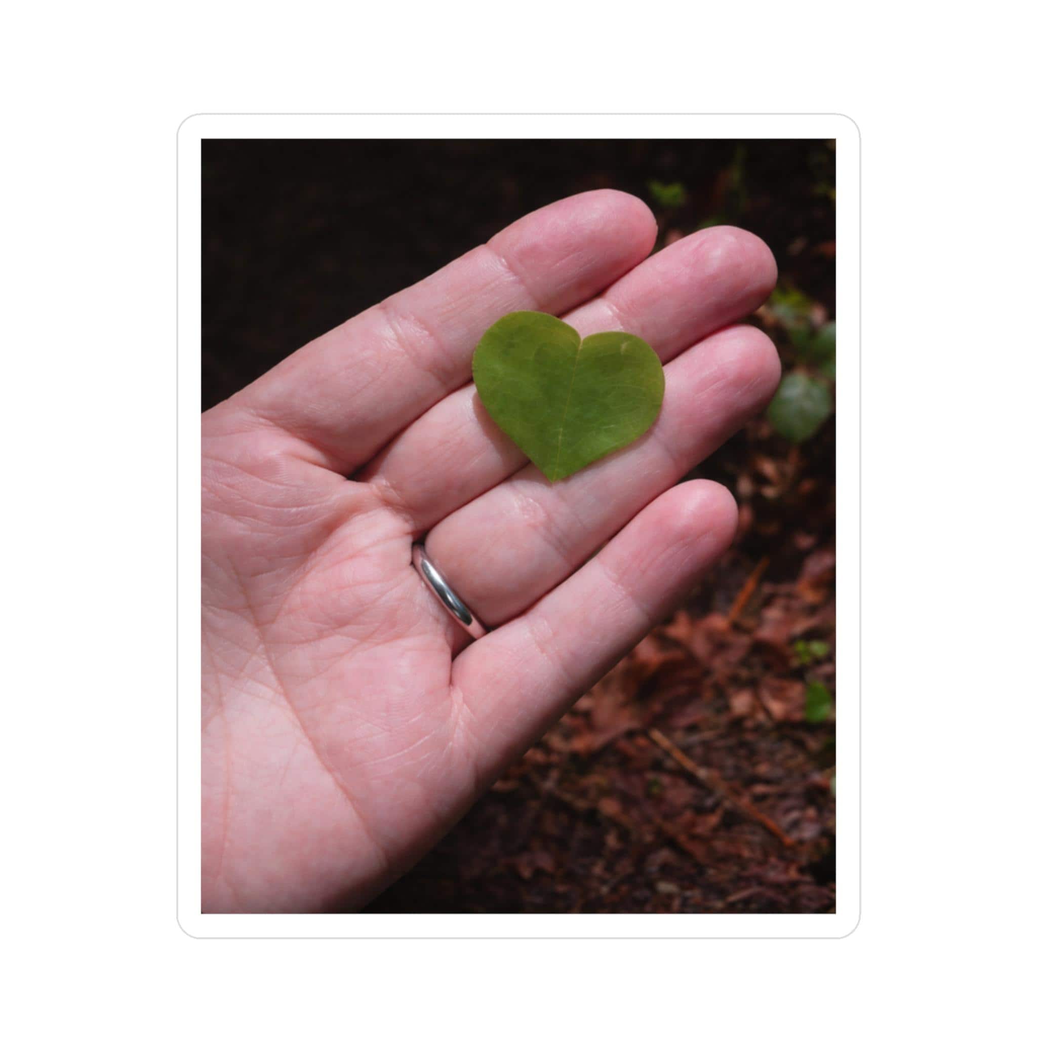 Heart Shaped Leaf Nature Photograph Quiet Love Art